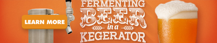 Fermenting Beer in a Kegerator