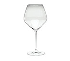 Riedel Vinum Extreme Pinot Noir / Red Wine Glass (Set of 6)
