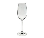 Riedel 6408/48 Ouverture Collection - Champagne Glass (Set of 2)