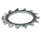 Beer Shank Lock Washer