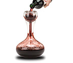 Final Touch WDA98 Wine Scent and Flavour Enhancer Decanter Set