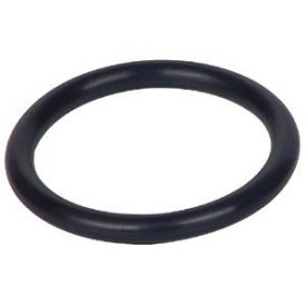 Enlarge O-Ring Gasket