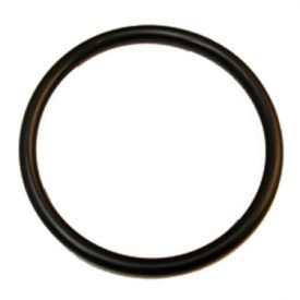 Enlarge Home Brew Keg Lid Closure O-Ring Universal