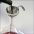 Decanter4 35-125
