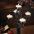 Scroll Candelabra2 42-231