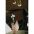 Bar Devino Hide-A-Bar Console