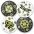 Urban Garden Coaster 76-249