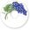 Grape Id Tag 82-002